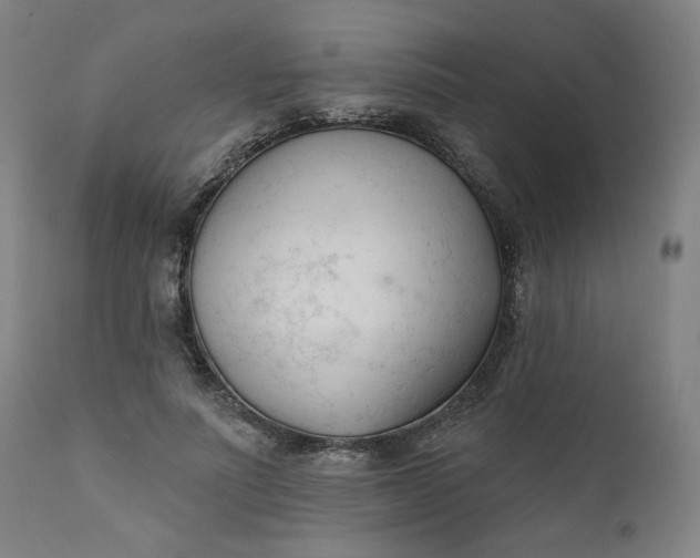 X0000111610691200907311139