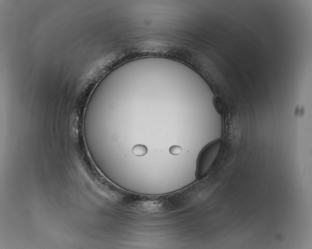 X0000111610692200907311139