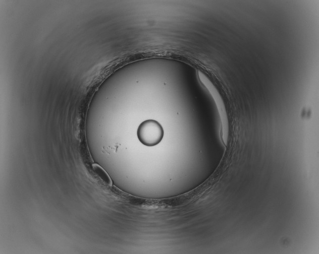 X0000111610693200907311139