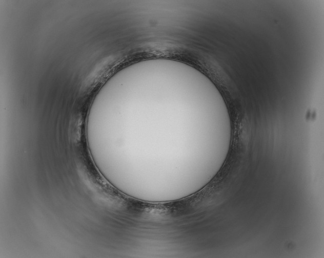 X0000111610694200907311139