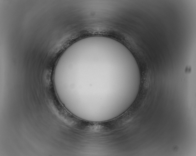 X0000111610695200907311139