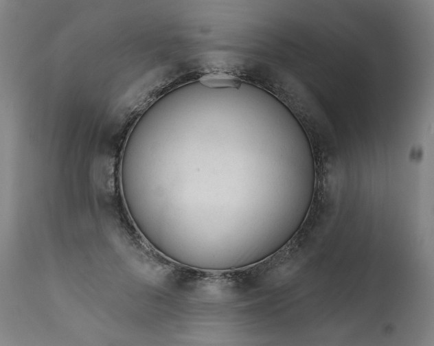 X0000111610696200907311139