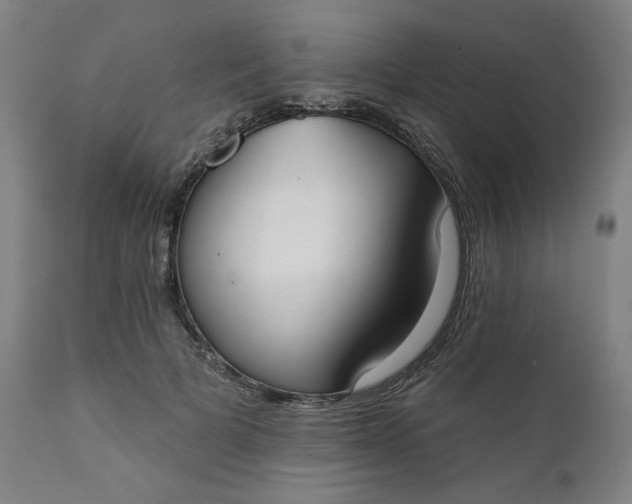 X0000111610697200907311139