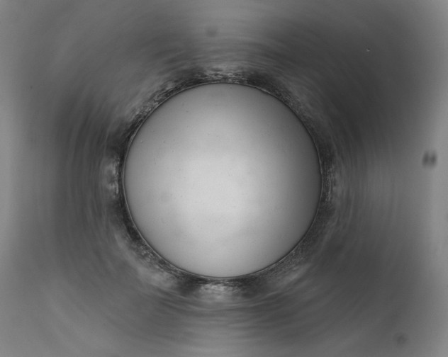 X0000111610699200907311139