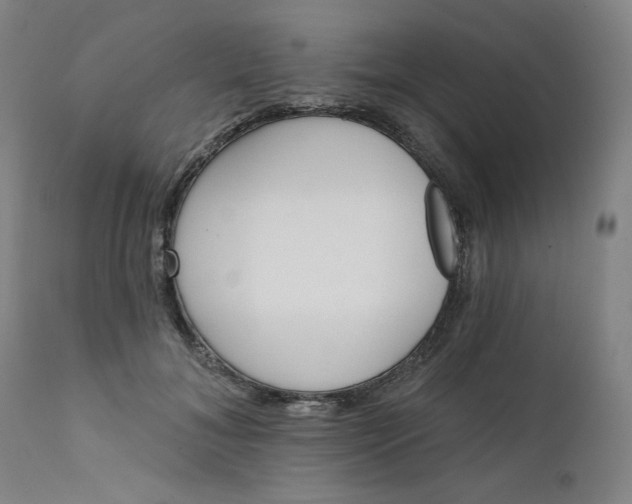 X0000111610700200907311139