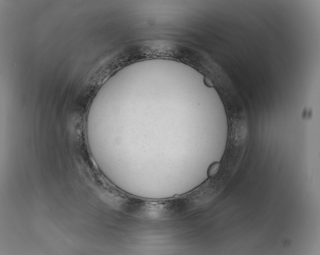 X0000111610701200907311139