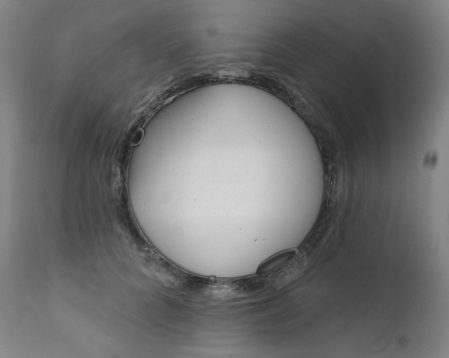 X0000111610704200907311139