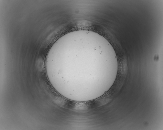 X0000111610705200907311139