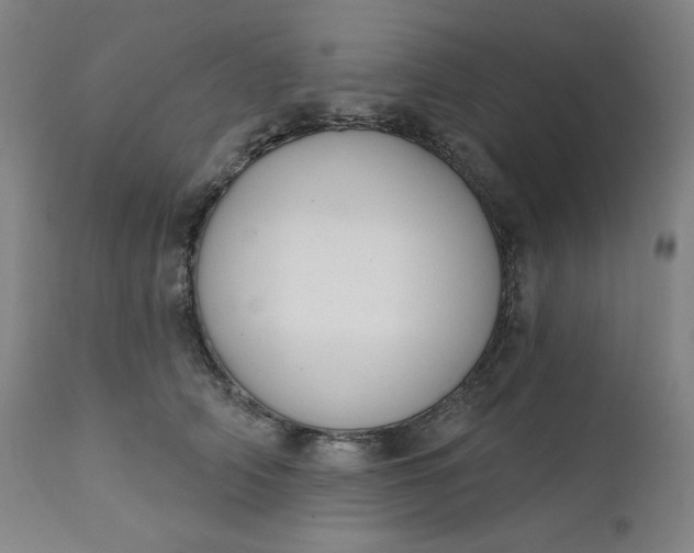 X0000111610706200907311139