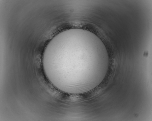 X0000111610707200907311139