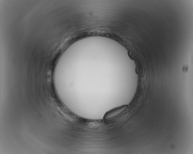 X0000111610708200907311139