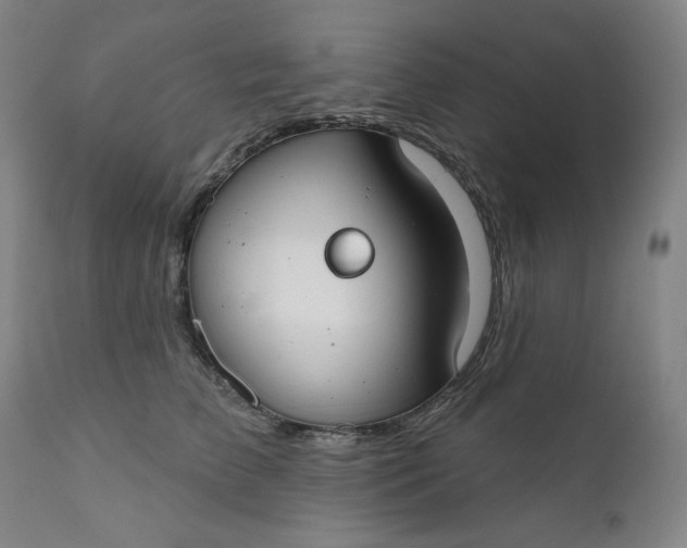 X0000111610709200907311139