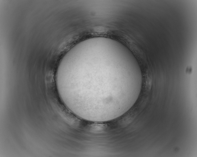 X0000111610711200907311139