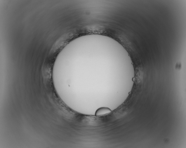 X0000111610713200907311139