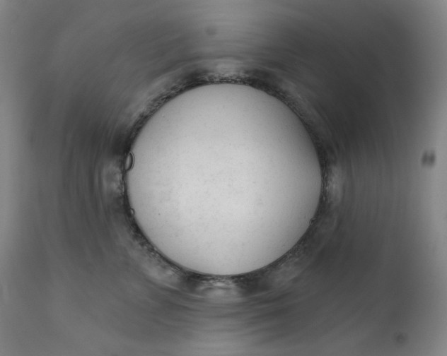 X0000111610715200907311139