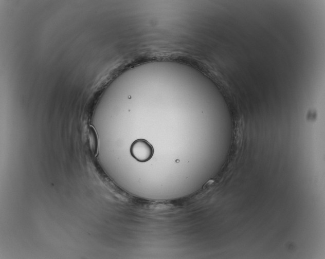 X0000111610716200907311139