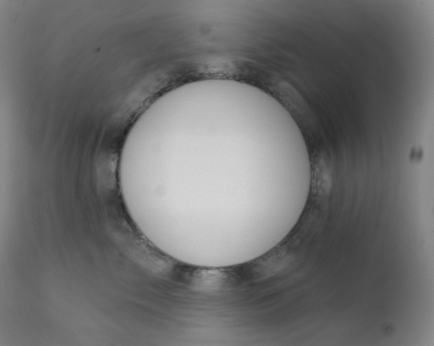 X0000111610717200907311139