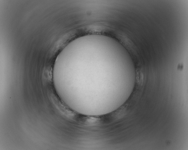 X0000111610718200907311139