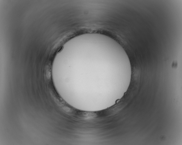 X0000111610719200907311139