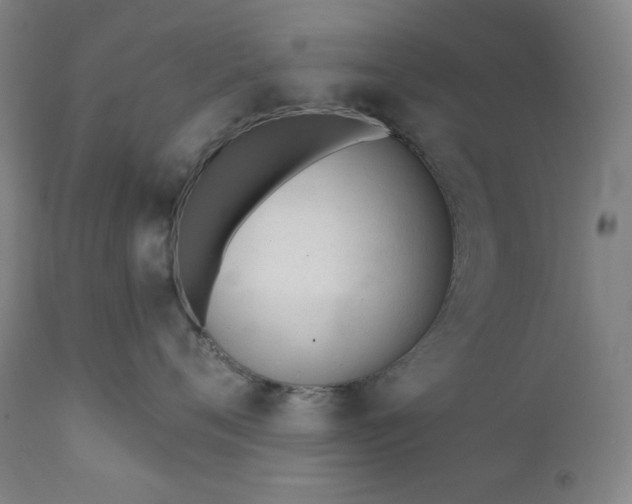 X0000111610720200907311139