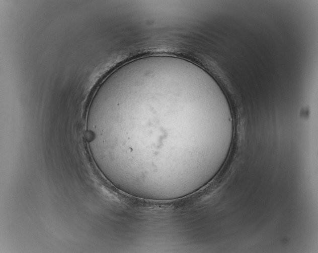 X0000111610721200907311138