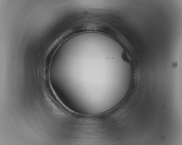 X0000111610722200907311138