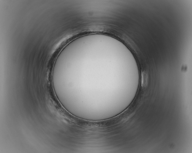 X0000111610723200907311138