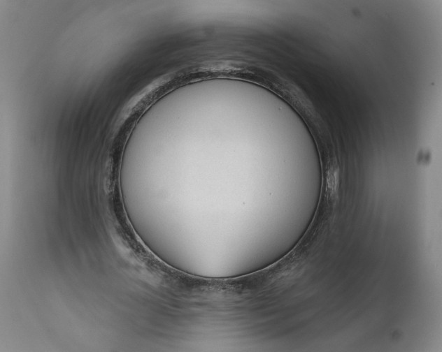 X0000111610724200907311138