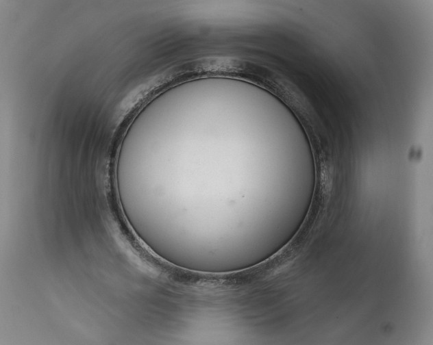 X0000111610725200907311138