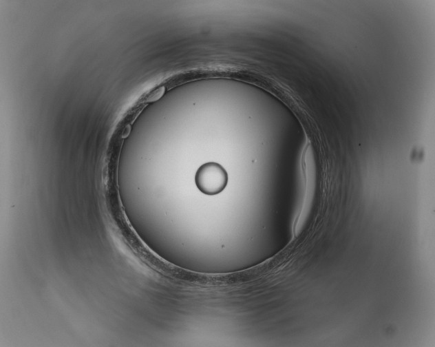 X0000111610726200907311138