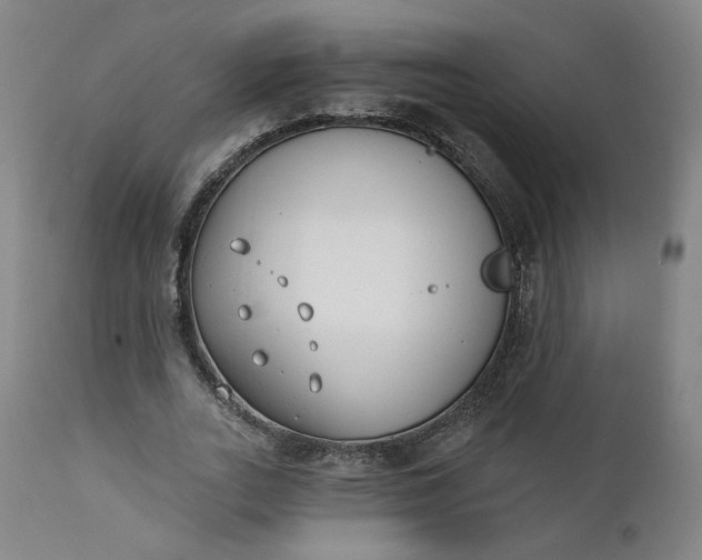 X0000111610727200907311138