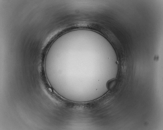 X0000111610728200907311138