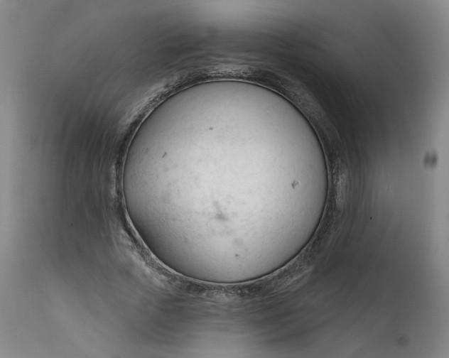 X0000111610729200907311138