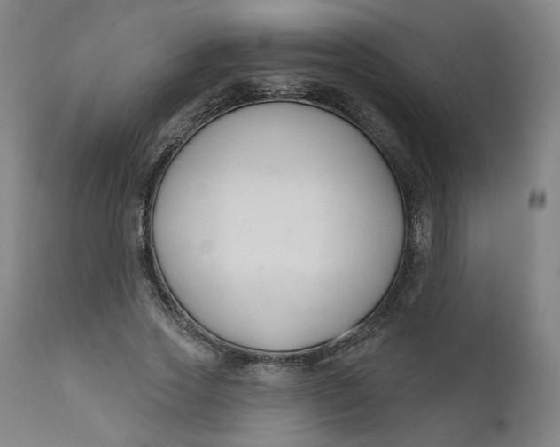 X0000111610733200907311138