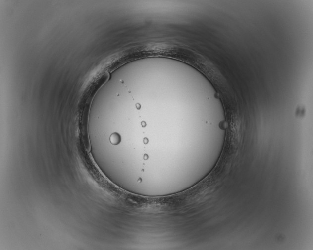 X0000111610734200907311138