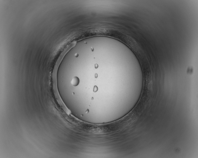 X0000111610735200907311138