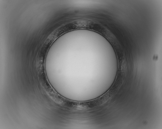 X0000111610737200907311138