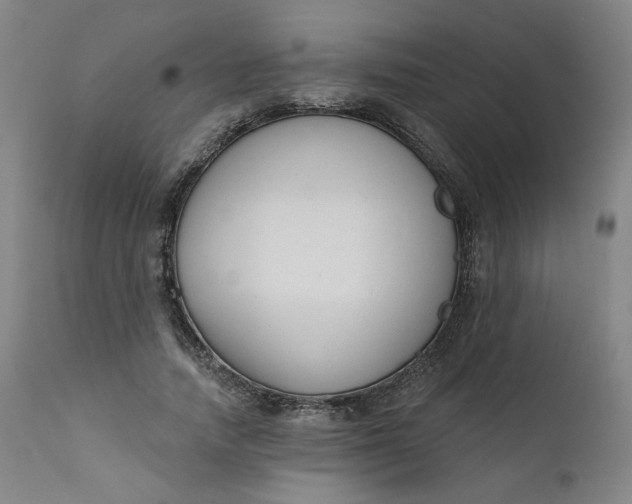 X0000111610738200907311138