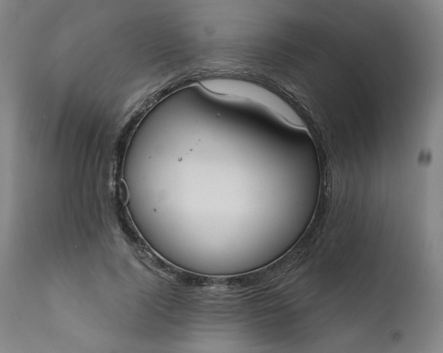 X0000111610740200907311138