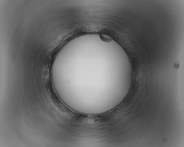 X0000111610743200907311138