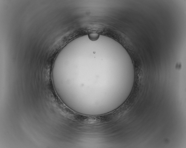 X0000111610745200907311138