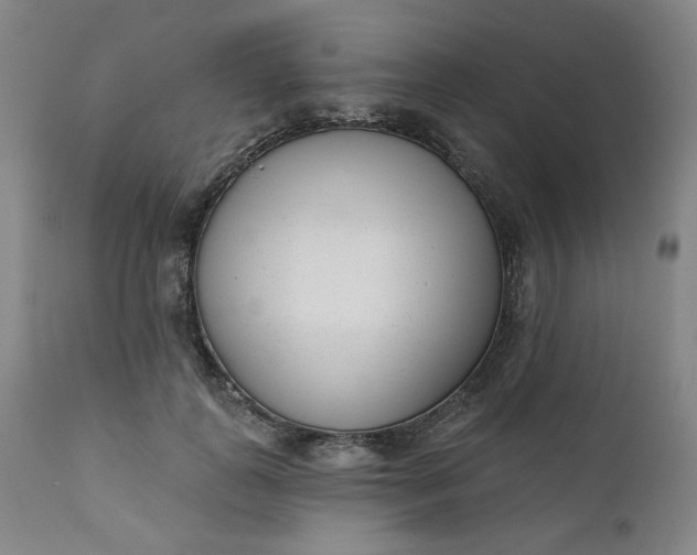 X0000111610747200907311139