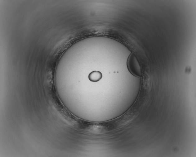 X0000111610748200907311139