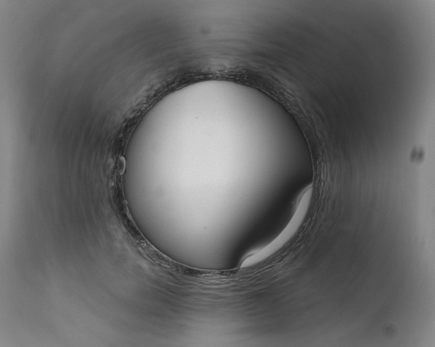 X0000111610750200907311139