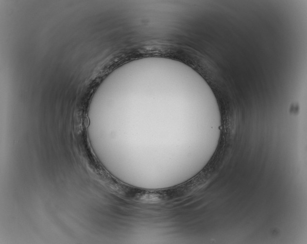 X0000111610751200907311139