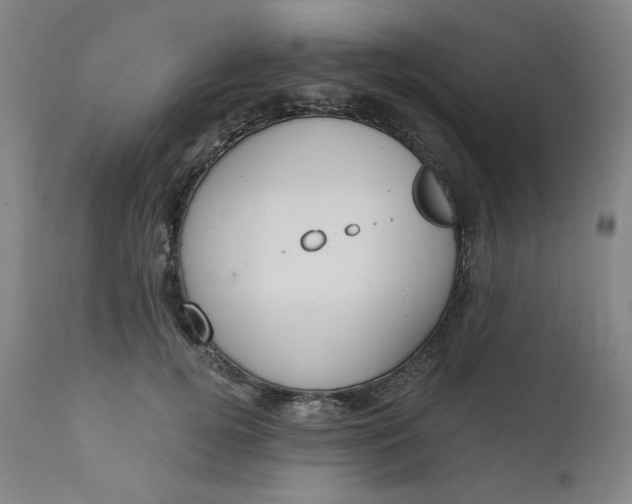 X0000111610752200907311139