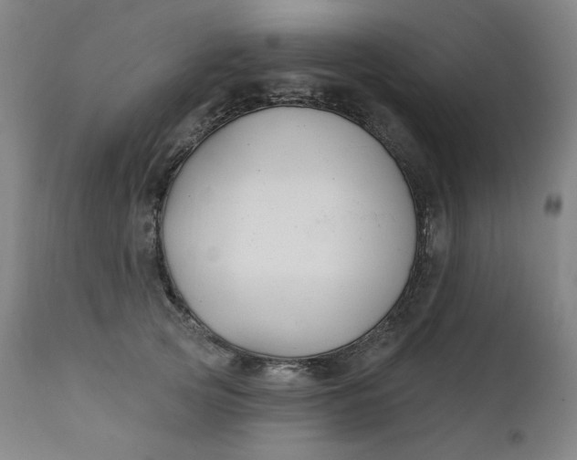 X0000111610753200907311139