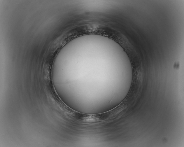 X0000111610754200907311139