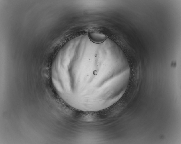 X0000111610755200907311139