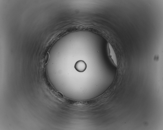 X0000111610756200907311139